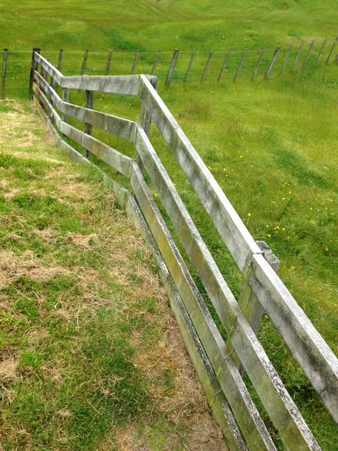 Waituna West 2AM-000474. ©Andrew McInnes