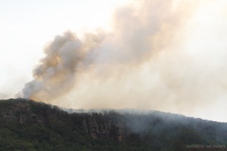 Maddens Plains bushfire 2AM-003758