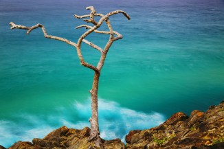 norries-head-2am-008392