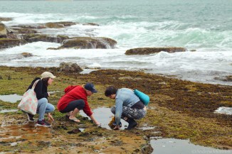 Pearl Beach 2AM-008793