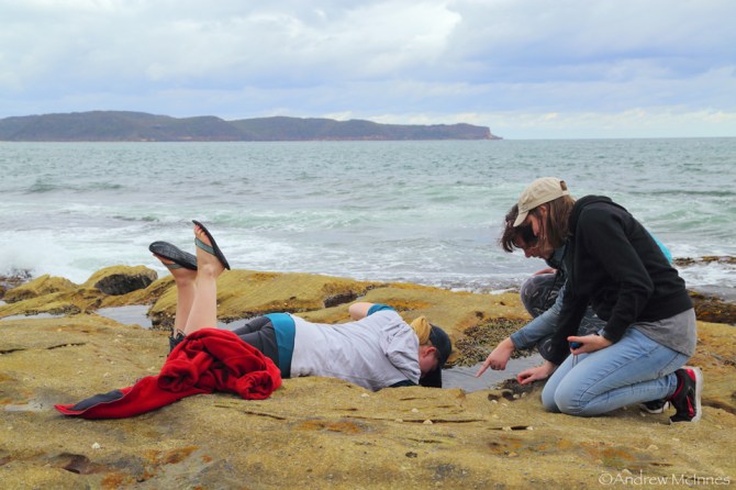 Pearl Beach 2AM-008816