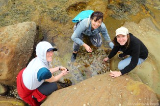Pearl Beach 2AM-008849